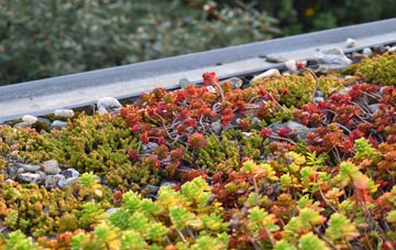the cost of Hepburn green roof installation